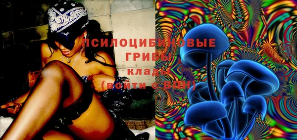мяу мяу мука Алексеевка