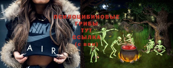мяу мяу мука Алексеевка