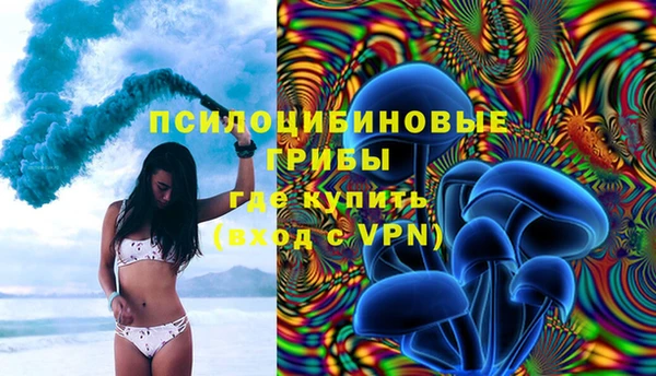 мяу мяу мука Алексеевка