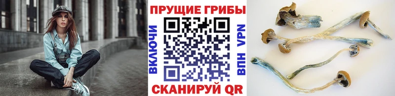 Галлюциногенные грибы MAGIC MUSHROOMS  Макушино 